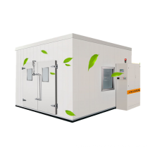 custom small deep freezer Cold storage room machine for meat